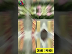 Ceres viscovita spons